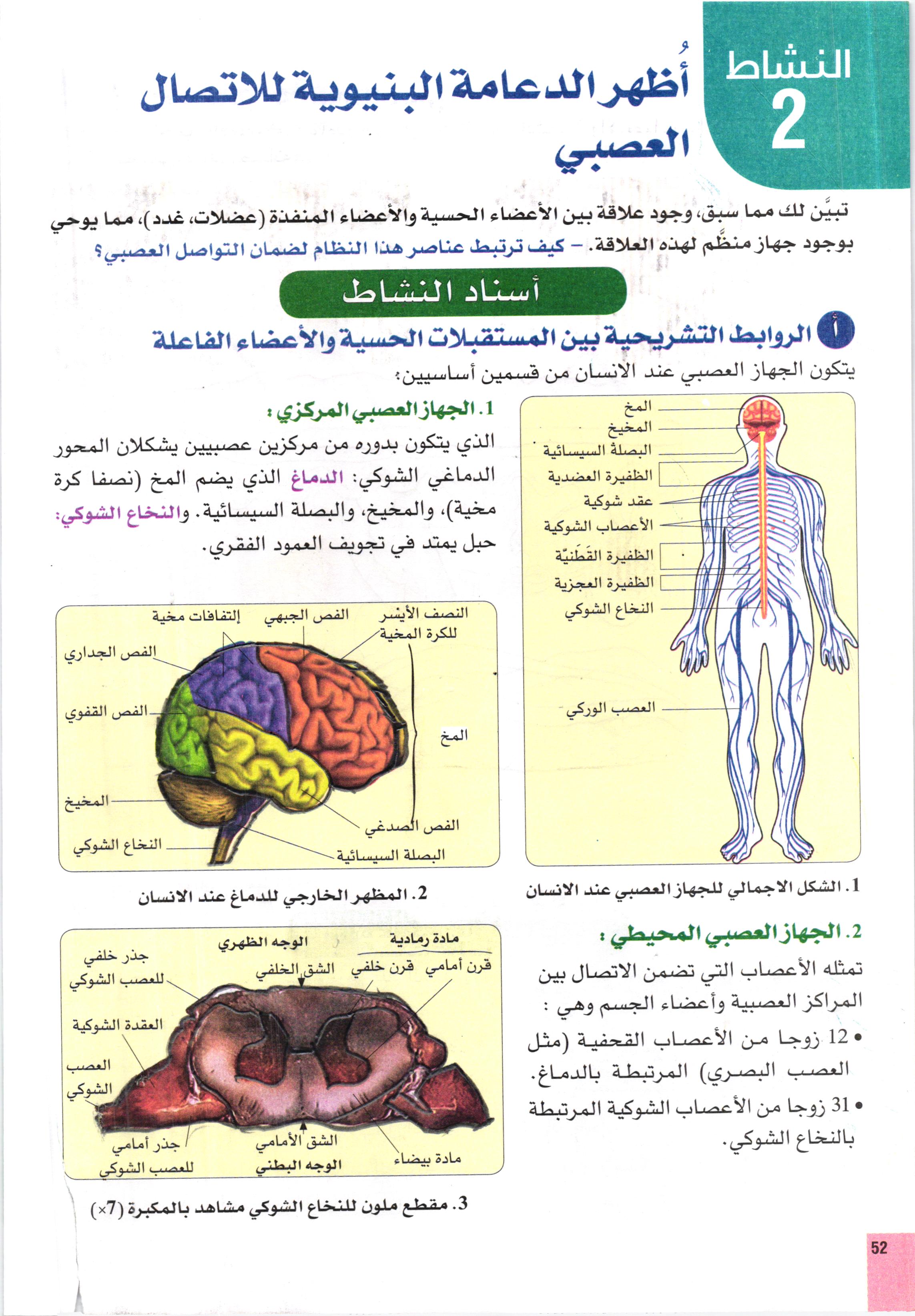 صفحة من كتاب علوم الطبيعة والحياة